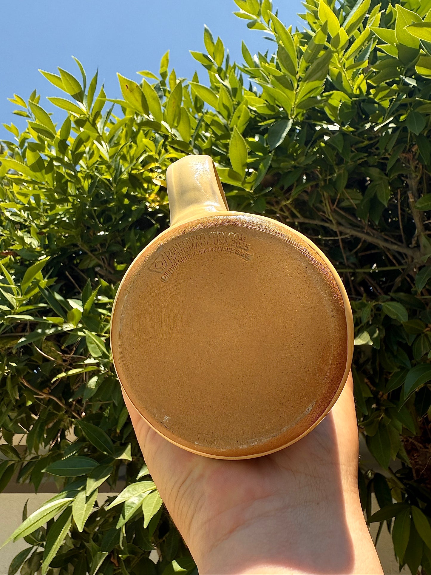 DENEEN X SEND IT MUG